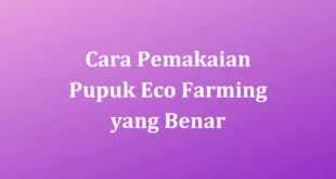 Cara Pemakaian Pupuk Eco Farming
