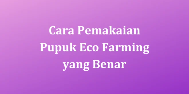Cara Pemakaian Pupuk Eco Farming